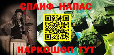 a pvp Кунгур